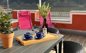 Terrassenwohnung mit Donaublick